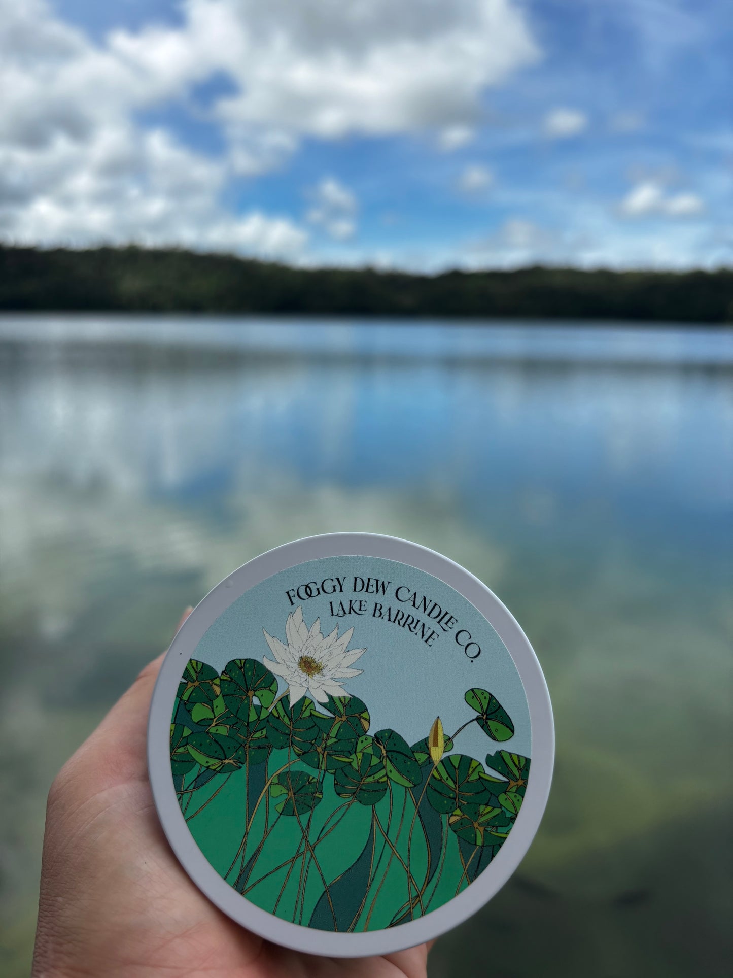 Japanese Honeysuckle 'Lake Barrine Candle' - 26hr+ Travel Tin