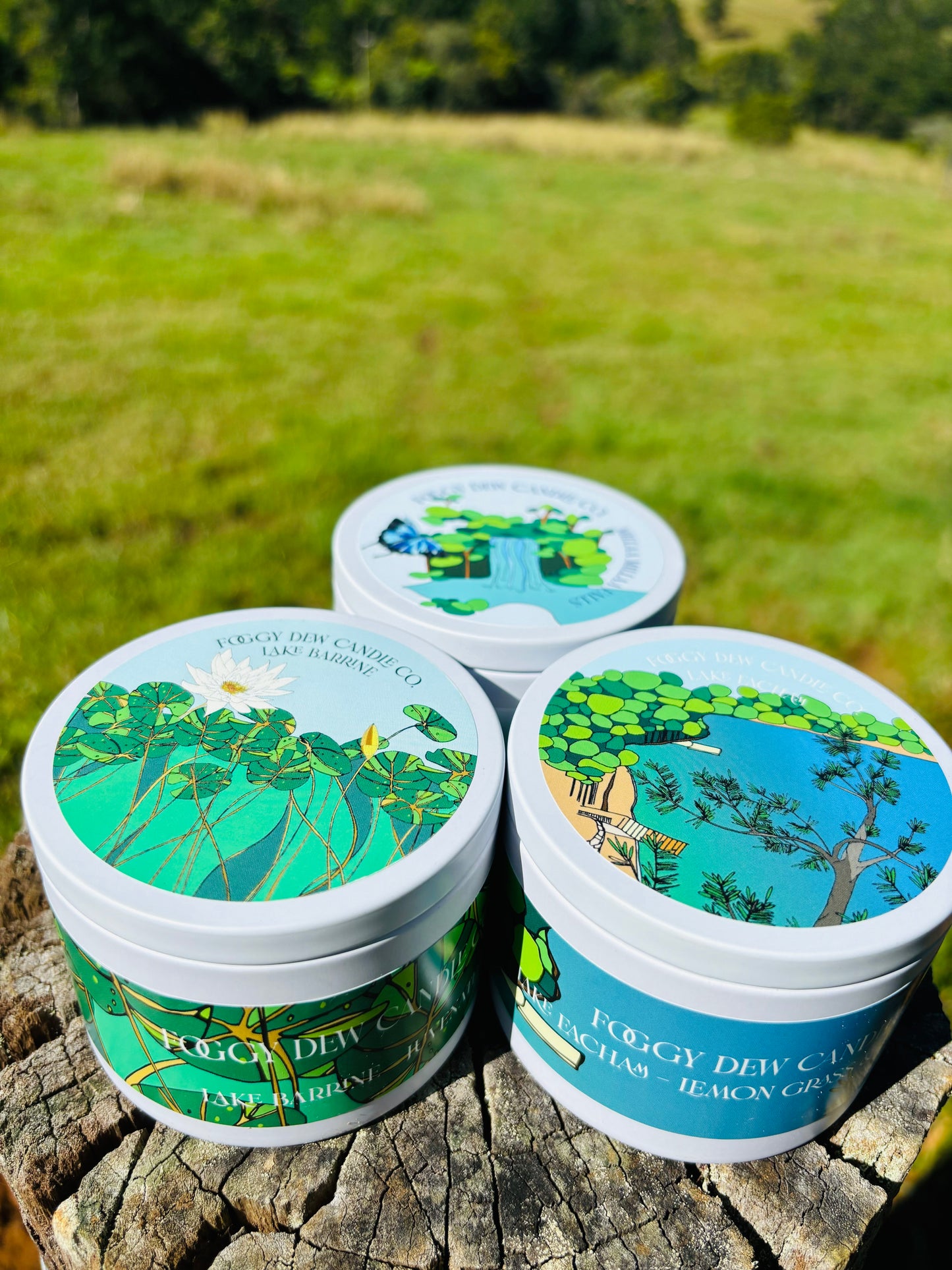 Japanese Honeysuckle 'Lake Barrine Candle' - 26hr+ Travel Tin