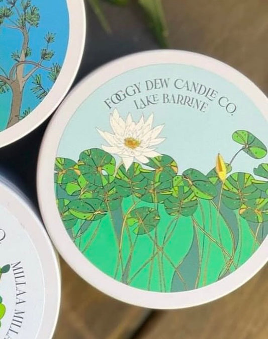 Japanese Honeysuckle 'Lake Barrine Candle' - 26hr+ Travel Tin